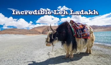 Incredible Leh Ladakh