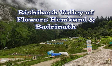 Rishikesh Valley of Flower Hemkund Shabib Tour