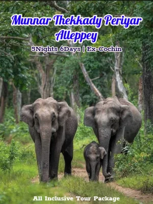 Cochin Munnar Thekkady Periyar Alleppey Tour