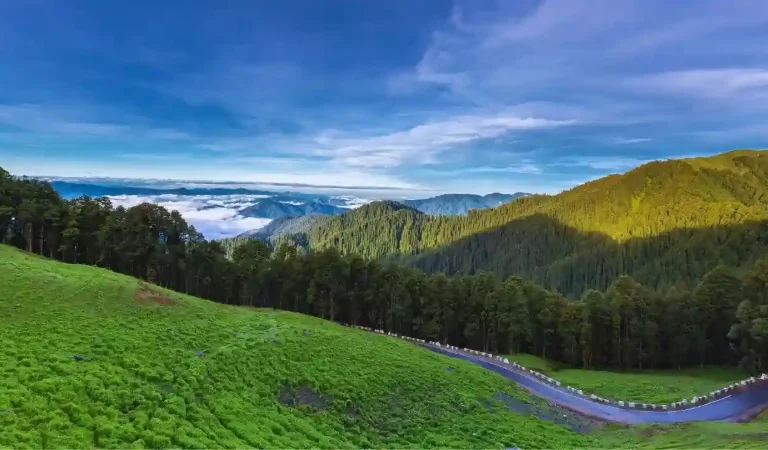 jalori-pass-shoja-jibhi-himachal