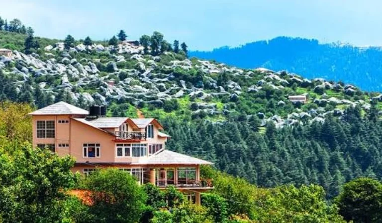 narkanda-thanedar-apple-orchards