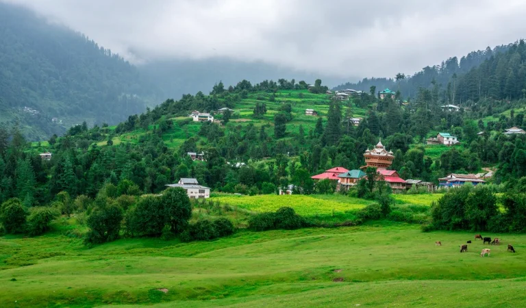 tirthan-valley-great-himalayan-national-park